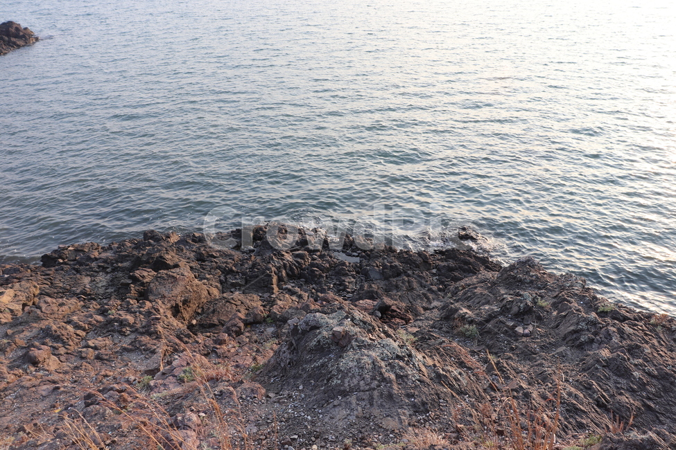 바다,물결,파도,돌,빛,간월도,간월암,잔잔한,풍경