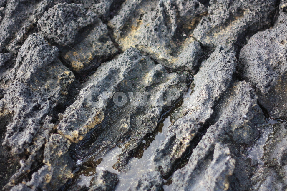 rock,록,walkway,보도,path,통로,파도,현무,돌