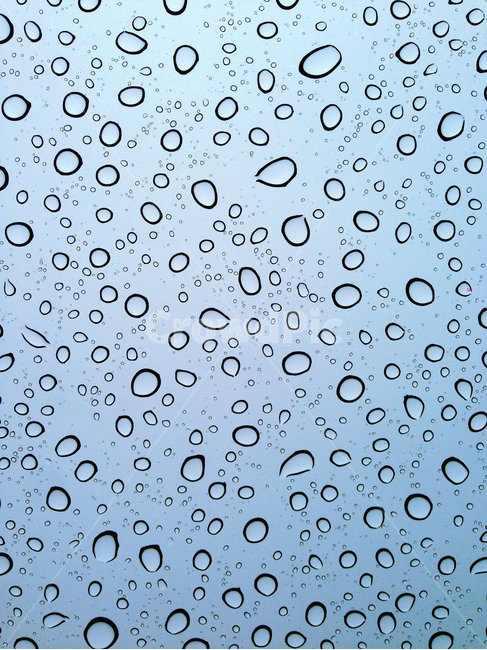 비,빗물,맺힘,물방울,빗방울,raindrop,raindrops,waterdrop,rain