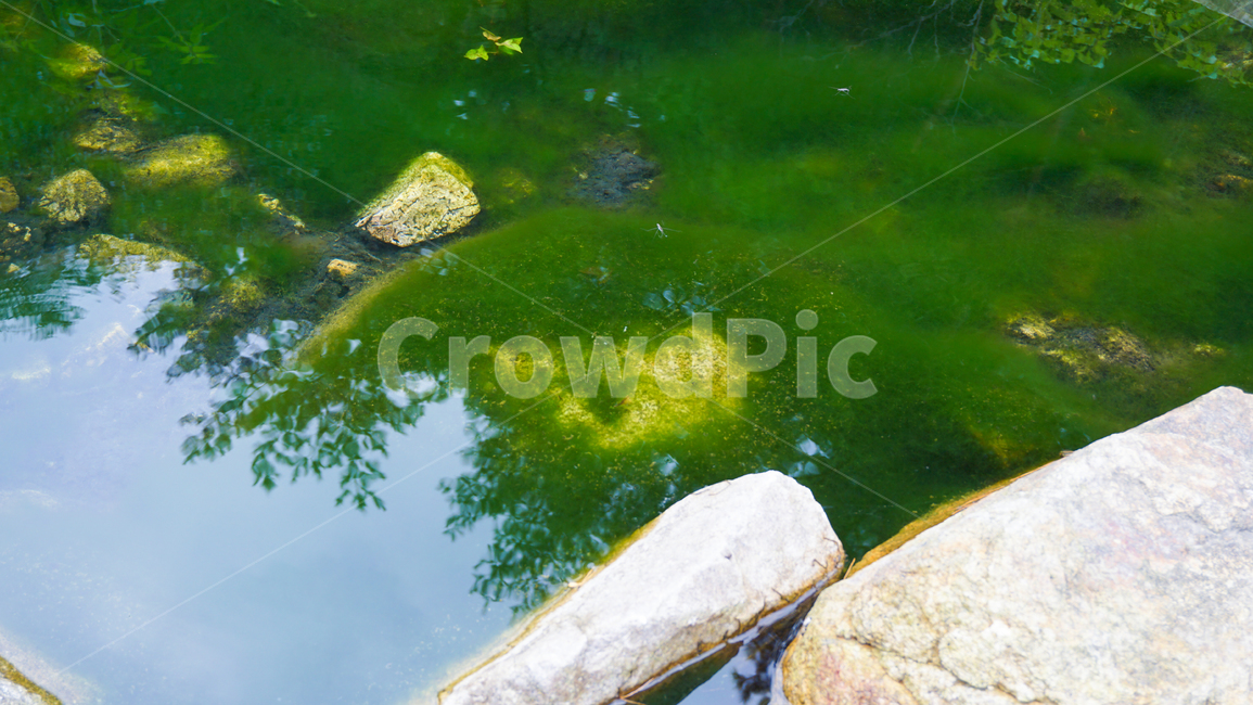 계곡,바위,물,물놀이,피서,이끼,valley,rock,water,vacation,wave,moss,nature,자연,자연,풍경,nature,landscape,plant,식물,algae,조류