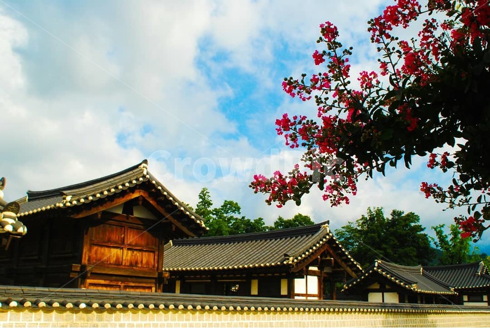 한옥,봄,꽃,배경화면,전주,한옥마을,조선