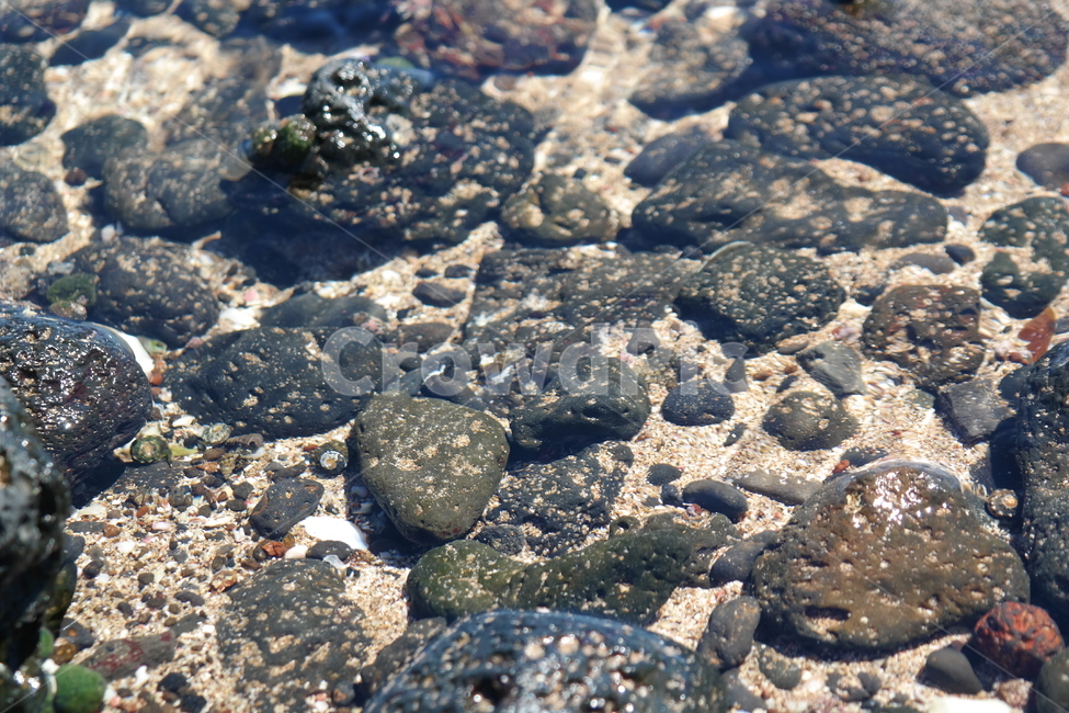 제주,바다,sea,돌,바닷물,해변,바다,beach,sea
