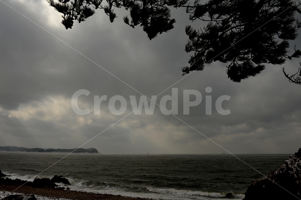 겨울바다,나무와바다,여행,힐링,가볼만한곳,겨울,계절,winter,season,자연,풍경,nature,landscape,한국자연풍경,한국자연경관,korea nature landscape,해변,바다,beach,sea