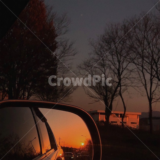 하늘,나무,차,노을,car
