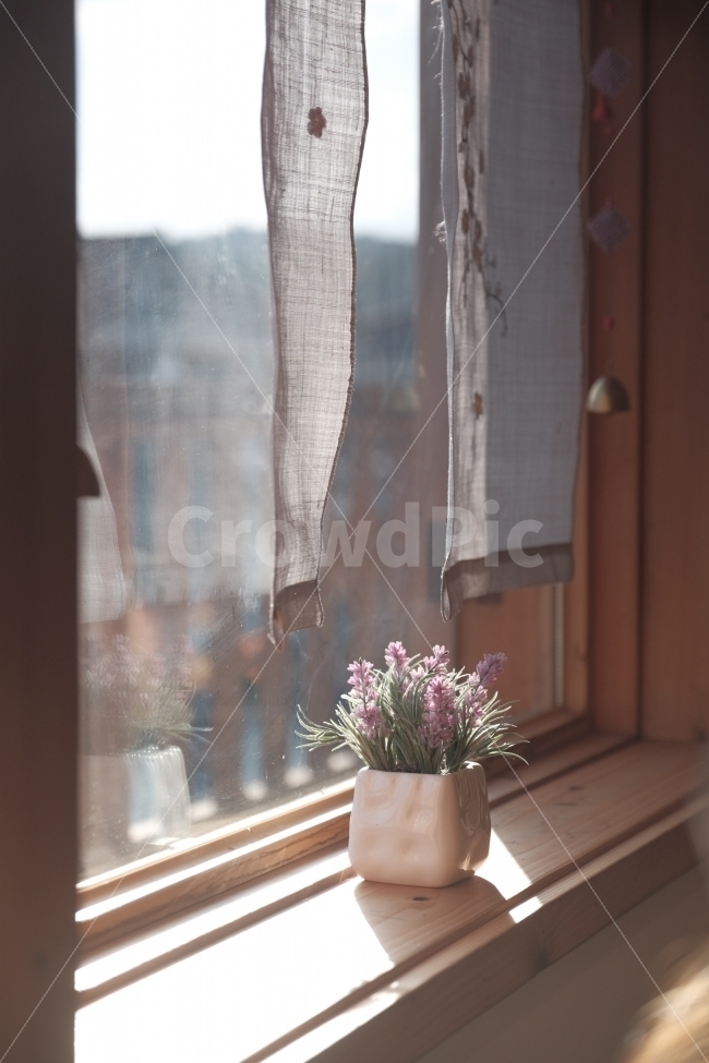 창,창문,햇살,햇빛,따스함,화분,한지발,창가,꽃,난초,식물,자연,plants,nature,꽃,flower,실내용화초,화분,화초,house plant,감성,sensible,feeling,휴식,힐링,rest,relaxation,healing,인테리어,실내디자인,interior design