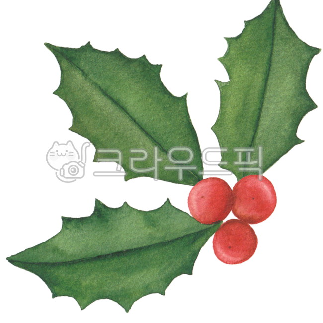 크리스마스,크리스마스트리,트리장식,크리스마스열매,크리스마스장식,성탄절,크리스마스일러스트,크리스마스수채화,christmas,christmasillustration,christmastree,watercolor,christmasplant,christmasdecoration