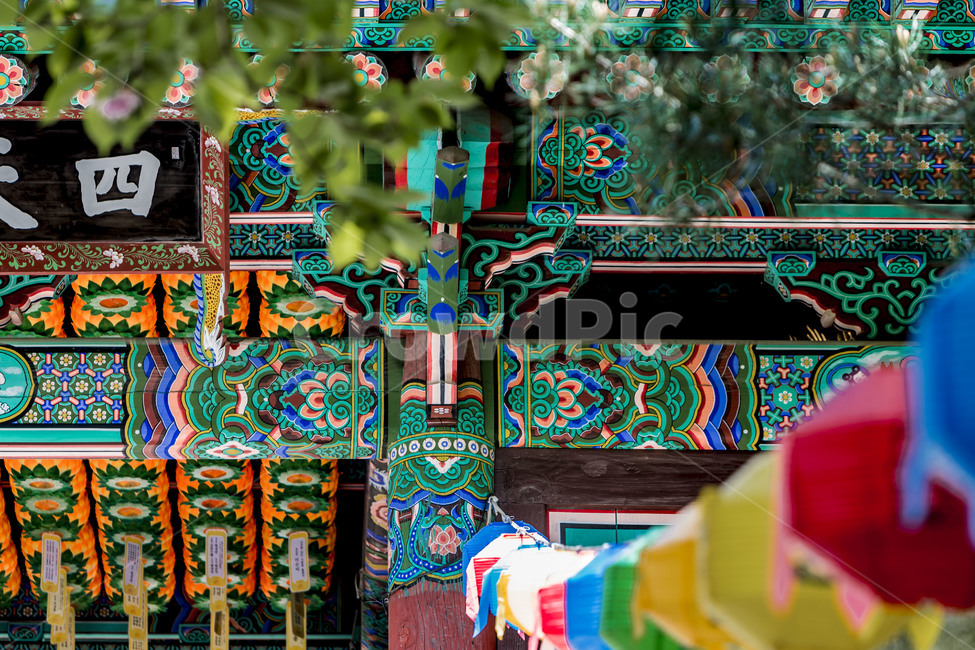 연등,단청,전통가옥,전통건축,고건축,문양,무늬,한국전통,한국문화,korean traditional,korean culture,건축물,건물외관,exterior,building,structure,architecture,construction