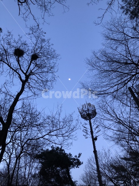 산,풍경,하늘,뒷산,나무