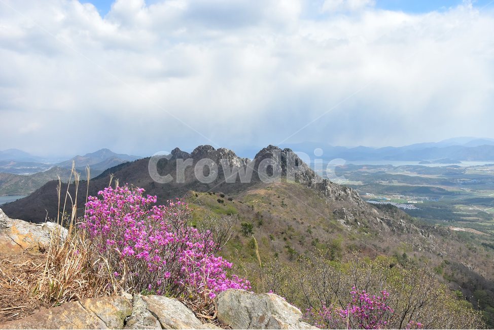 주작산,덕룡산,종주,진달래,풍경,기암,바위,비경,봄풍경,진달래꽃,강진,명산,산행,등산,마운틴,힐링,mountain,landscape,자연,natural,봄,계절,spring,season,자연,풍경,nature,landscape,한국자연풍경,한국자연경관,korea nature landscape,outdoors,옥외,산,mountain range,산맥