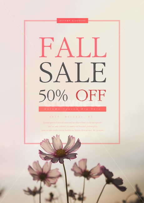 코스모스,꽃,가을,이벤트,쇼핑,팝업,가을,계절,fall,autumn,season,축제,행사,festival,carnival,event,쇼핑,shopping,그래픽,일러스트레이션,graphic,illustration