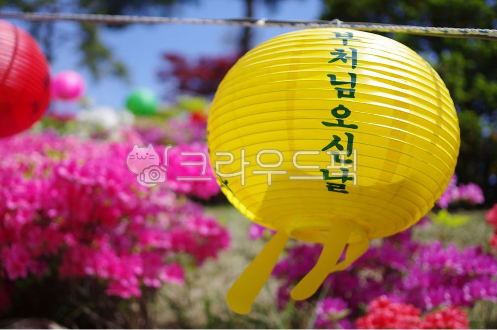 부처님오신날,석가탄신일,연등,불교,장식,등,행사,축제,절