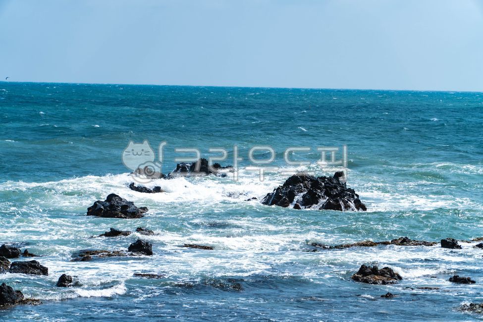 주상절리,경주바다,바다바위,파도,바다,nature,water,rock,promontory,곶,seawaves