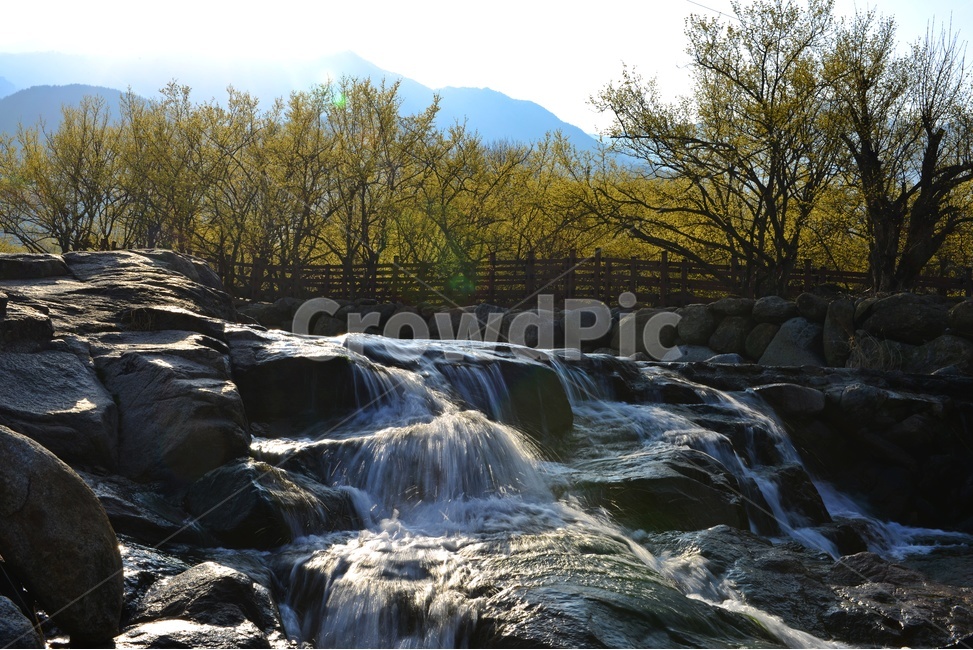 전남,구례,산동,산수유마을,산동산수유마을,산수유,산수유꽃,반영,mountainrange,산맥,mountain,산,nature,자연,water,물,outdoors,옥외,waterfall,폭포,자연,풍경,nature,landscape
