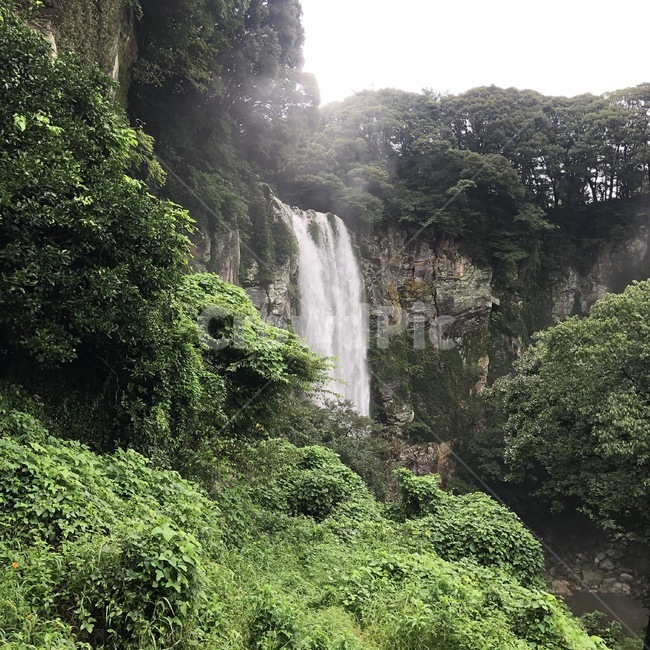 제주도,엉또폭포,폭포,산,물,나무,자연,jejuisland,nature,falls