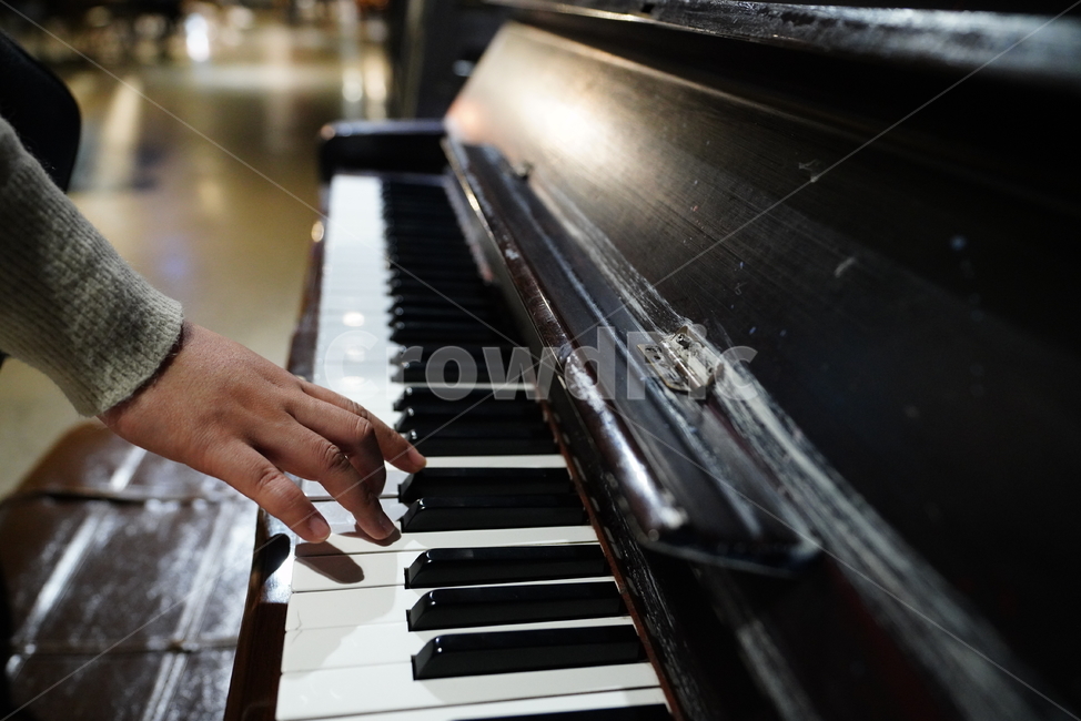 악기,피아노,piano,연주,음악,사람,person,인간,leisureactivities,레저활동,악기,음향기기,musical instrument,musical equipment