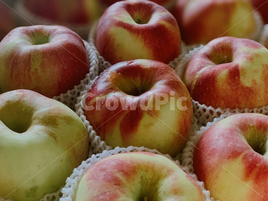 과일,food,사과,apple,fruit,과일,열매,fruit