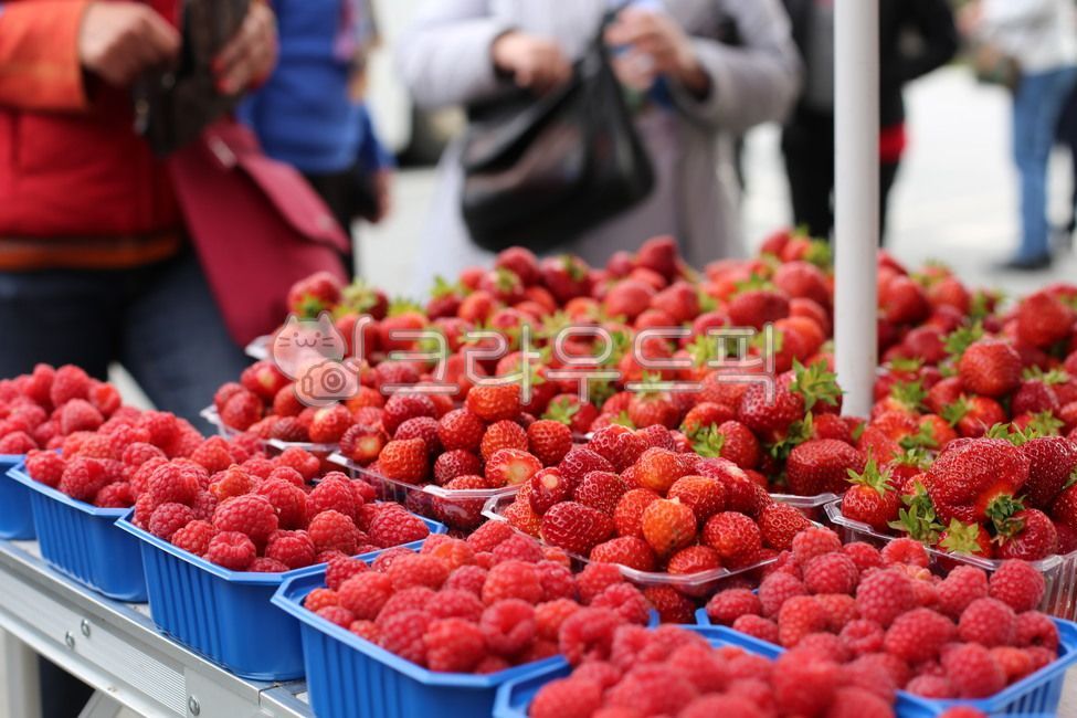 raspberry,Market scenery,fruit,strawberry,Direct delivery from the farm,freshfruit,Scandinavia,food,market,scandinavia,plant,Nordic outdoor market,North Europe,market strawberry,outdoor market