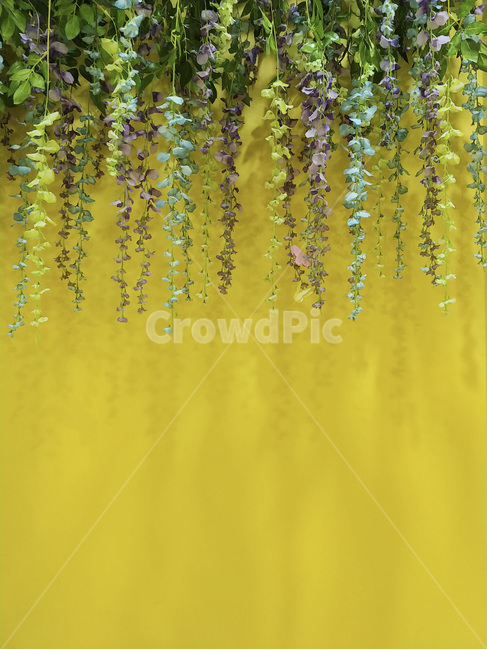 식물,인테리어,벽장식,꽃,blossom,flower,plant,식물,자연,plants,nature