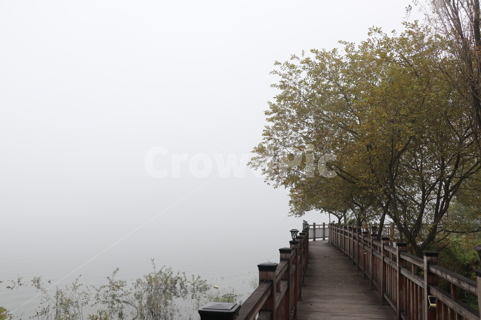 안개,호수,데크길,산책로,새벽안개,탑정호,수변공원,자연,풍경,nature,landscape,bridge,다리,building,건물,boardwalk