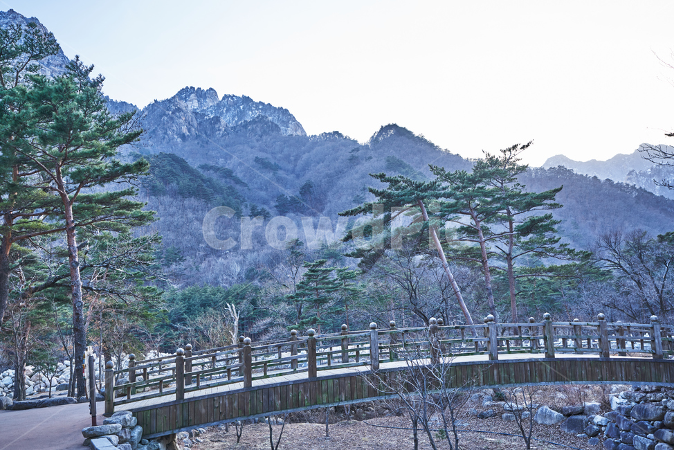 산,설악산,하늘,바위,봉우리,소나무,다리,풍경,국립공원,자연,풍경,nature,landscape,한국자연풍경,한국자연경관,korea nature landscape,tree,나무,plant,식물,fir,전나무,abies,아비