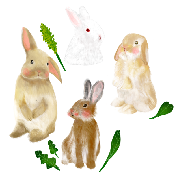 토끼,톸기그림,토끼일러스트,일러스트,동물일러스트,rabbitillustration,illustration,rabbit,animalillustration,동물,animal,누끼,remove background