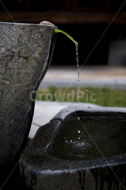 절,고요,물방울,물,차가움,자연,풍경,nature,landscape,휴식,힐링,rest,relaxation,healing