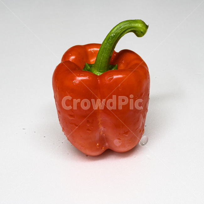 파프리카,plant,식물,food,음식,vegetable,야채,채소,채소,야채,vegetables