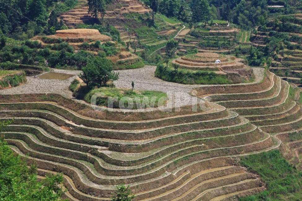 field,들,outdoors,옥외,nature,자연,landscape,경치,scenery,풍경,weather,날씨,중국,계림,금갱다랭이논,다락논,농경지,농업,농사,경작,다랭이논,농업,농사,agriculture,farming,farming industry
