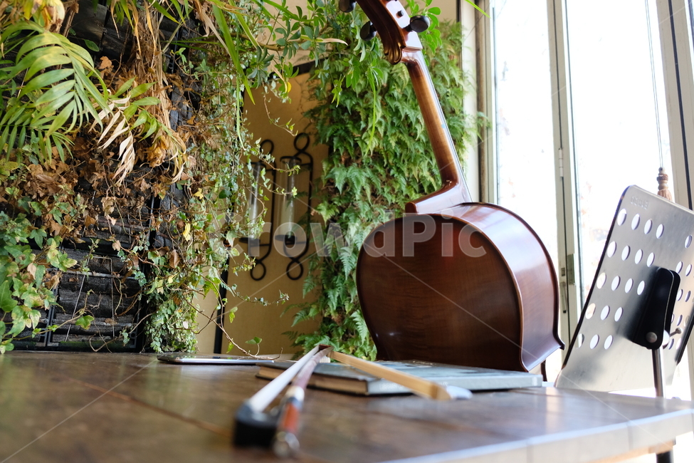 첼로,감성,자연,음악,악기,휴식,악기,음향기기,musical instrument,musical equipment