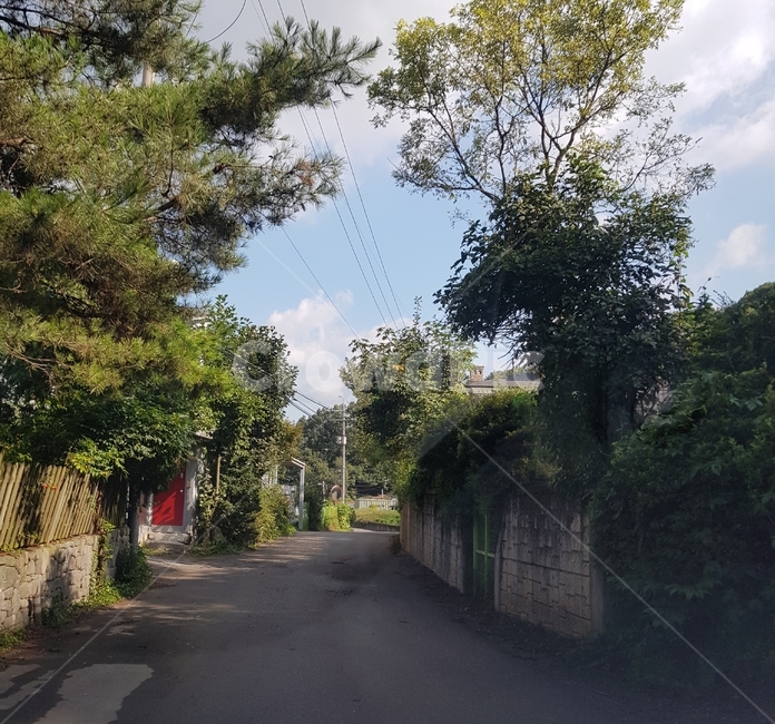 풍경,시골길,가로수길,자연,외곽,오솔길,옛길,돌담길,road,옥외,도로,outdoors,시골,마을,풍경,landscape,country,rural,town