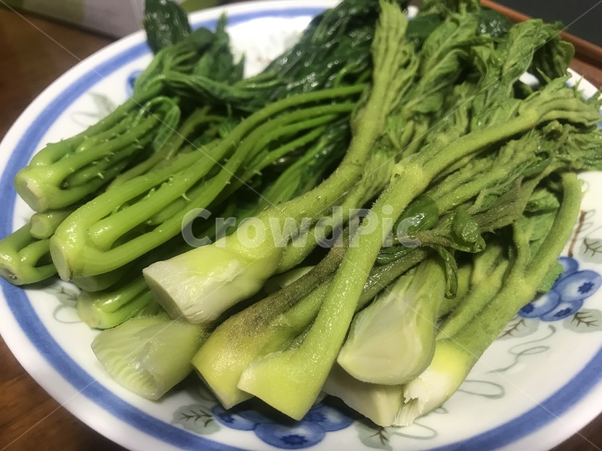 두릅,엄나무순,봄나물,고급재료,채소,vegetable,green,spring