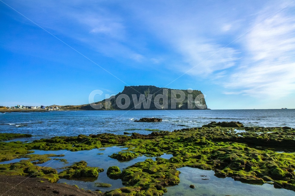 outdoors,옥외,land,땅,nature,자연,ocean,대양,sea,바다,water,물,shoreline,해안선,promontory,곶,plant,식물,cloud