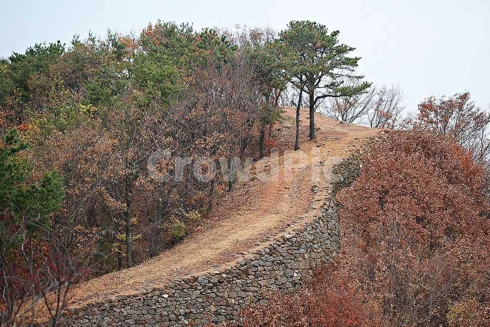 전등사,성,성곽,산성,둘레길,길,숲,숲길,담,돌담,가을,자연,풍경,벽,방어벽,낙엽,단풍,가을,계절,fall,autumn,season,자연,풍경,nature,landscape