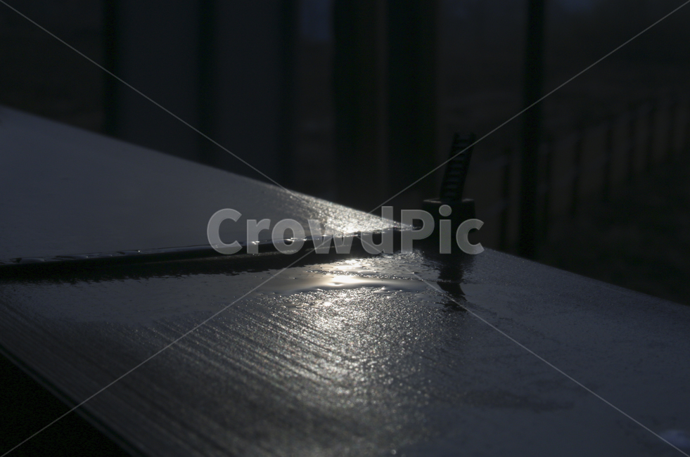 wood,나무,water,물,물기,습기,이슬,햇빛,light