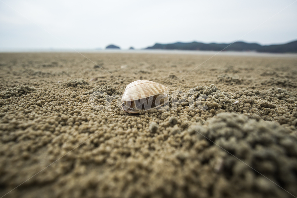 운여해변,서해안,태안해변,간조,조개껍질,landscpae,바다,모래,sand,nature,해변,바다,beach,sea