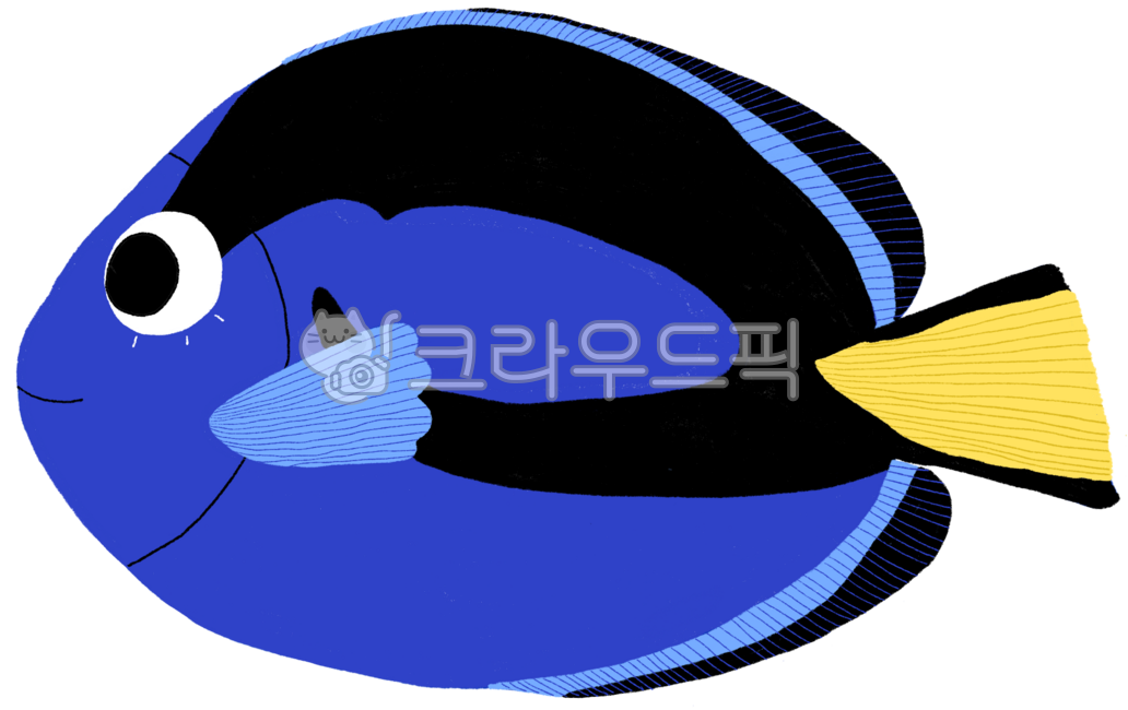 블루탱,aquarium,물고기,파란물고기,bluetang,아쿠아리움