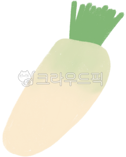Illustration,hand drawing,vegetable drawing,vegetable illustration,radish,radish