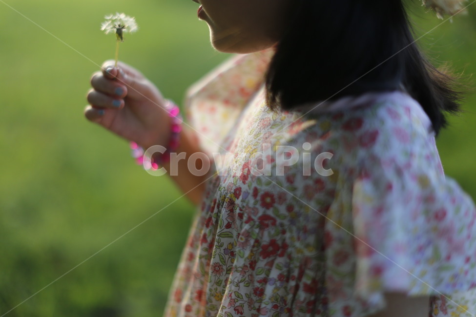 산책,역광,자연,민들레홀씨,꽃무늬원피스,여름풍경,사람,인물,인간,human,person,어린이,어린아이,child,children,kid,감성,sensible,feeling