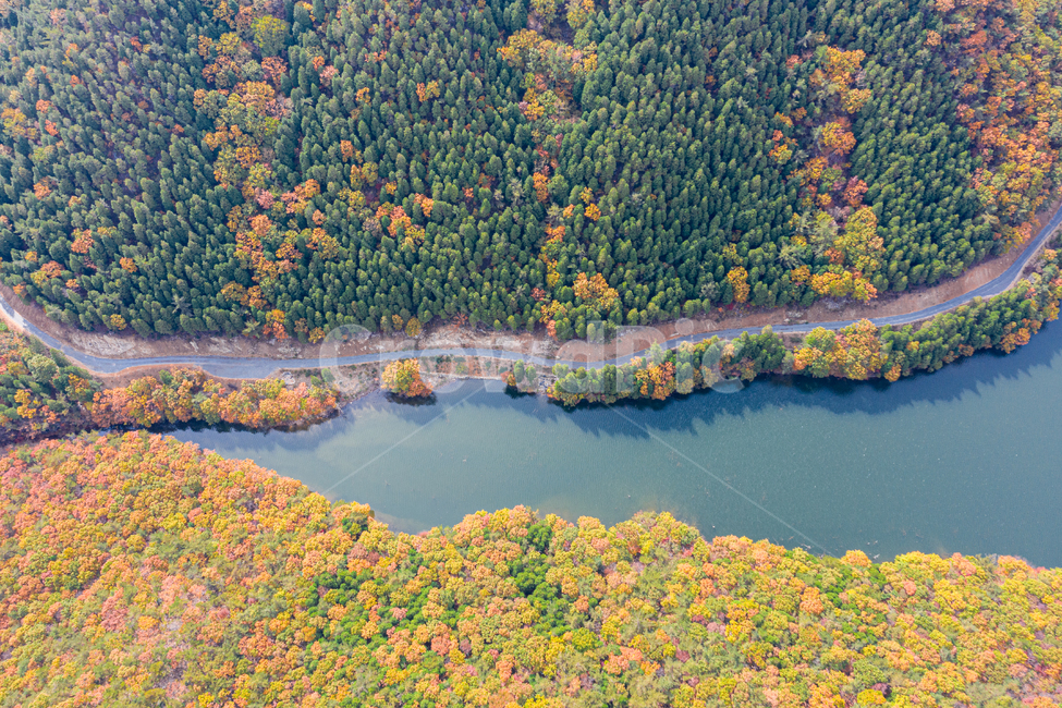 outdoors,nature,aerialview,조감도,자연,옥외,landscape,scenery,풍경,경치,드론,드론샷,드론촬영,drone,단풍,가을,저수지