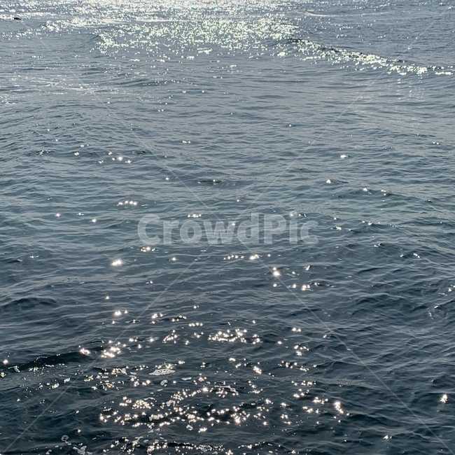 제주,바다,제주바다,제주도,해변,자연,풍경,nature,landscape,outdoors,옥외,vehicle,차량,transportation,교통,watercraft,선박