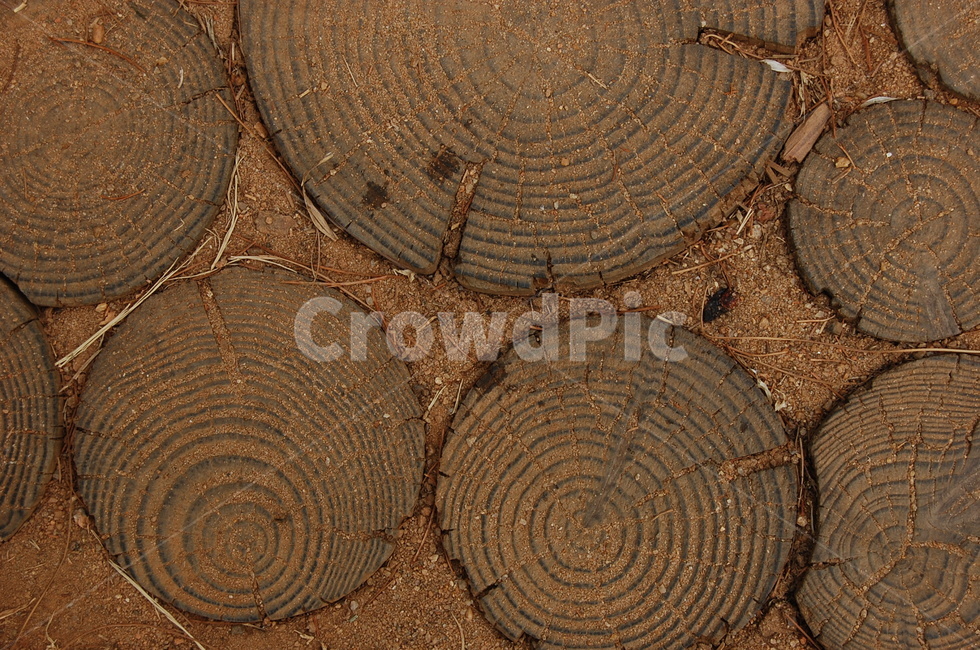 나무,흙,원형,나이테,나무조각,갈색,나무,trees,wood