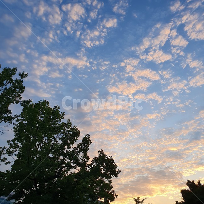 자연,nature,sky,구름,cloud,하늘,노을,sunset,자연,풍경,nature,landscape,outdoors,옥외