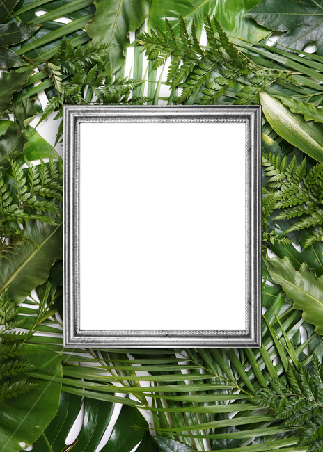 prepare,natural,neon,Botanical Frame,Botanical,leaf,summer,tropical,background image,palm tree,Neon,reversal,background,plant,tropical plants,jungle,colorful,frame