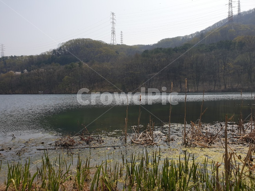 water,물,nature,land,outdoors,옥외,빛,물반영,봄나들이,봄