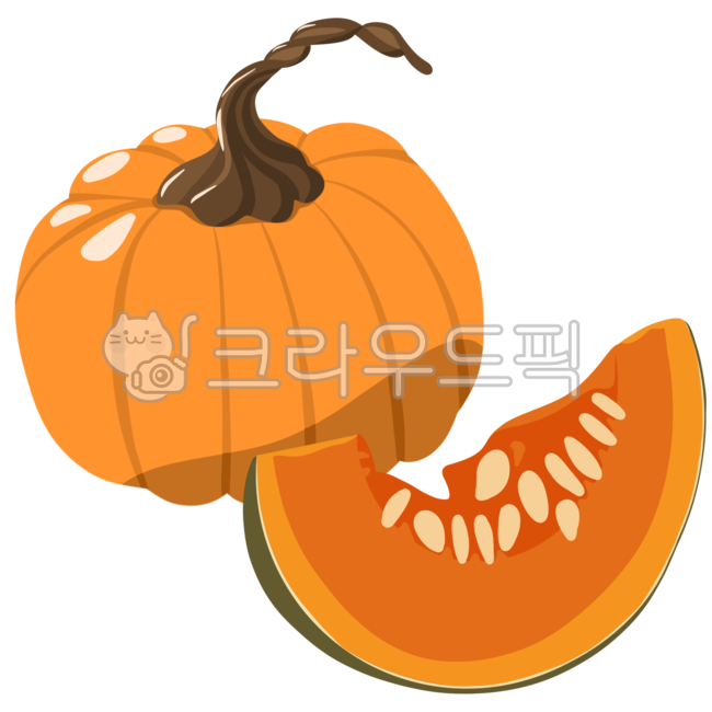 pumpkin cross section,autumn,Halloween,vegetable,pumpkin,pumpkin seeds