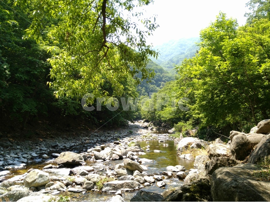느낌,계곡,나무,물,가을,봄,자연,풍경,nature,landscape,한국자연풍경,한국자연경관,korea nature landscape,water,outdoors,옥외,creek,작은 만,stream,흐름