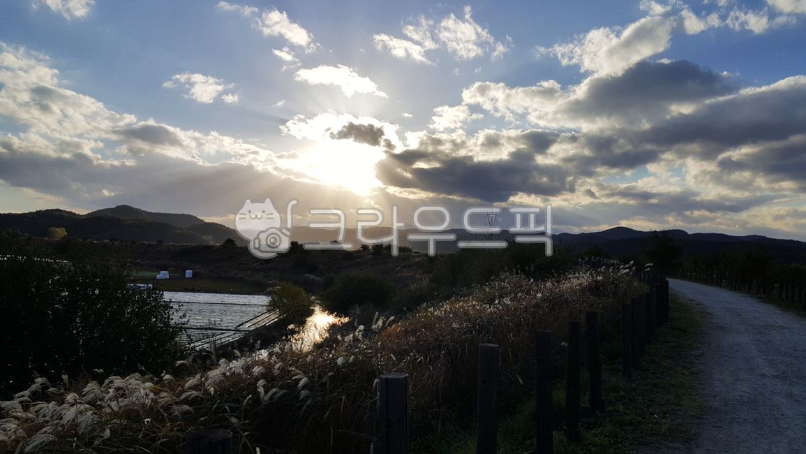 둑길,길,시골길,시골풍경,억새,구름,하늘,푸른하늘,저녁노을,노을,태양빛,빛,휴식,힐링,자연,창녕우포늪,flare,플레어,light