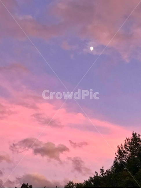 nature,자연,outdoors,옥외,weather,날씨,sky,하늘,cloud,구름,cumulus,적운,달,저녁,나무