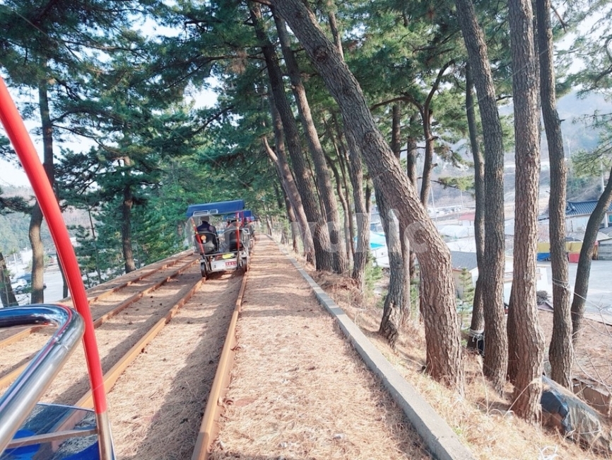 레일바이크,자전거,나무,철도,연인,가족,친구,기차,스포츠,레저,운동,sports,leisure,exercise
