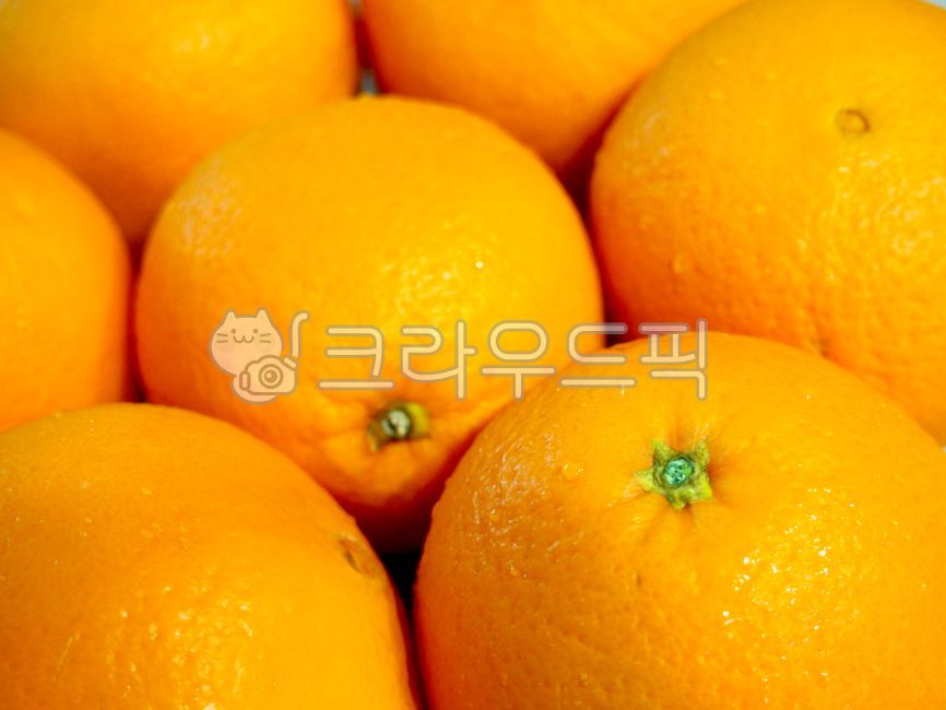오렌지,오랜지,주황색,오렌지색,오랜지색,신선한과일,싱싱한과일,새콤달콤한,싱싱한오렌지,자연식품,생과일,프레쉬한,freshfruit,freshfood,freshorange,orange,오렌지배경,오랜지배경